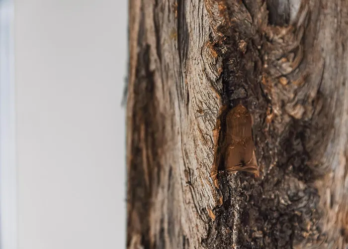 See Das Ferienhaus Σπίτι διακοπών Oetz